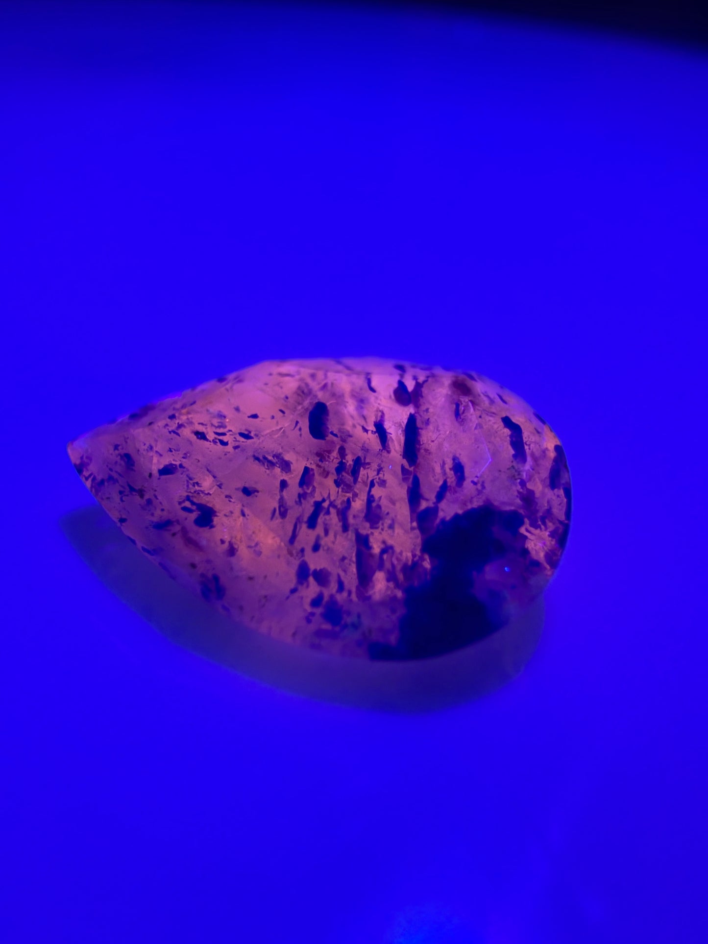 Pear Cut Sodalite With Lazurite 1.55cts
