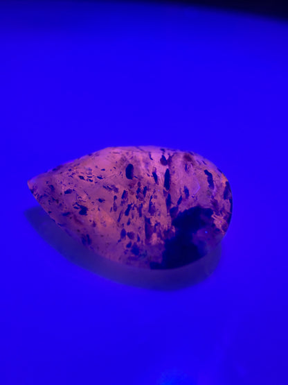 Pear Cut Sodalite With Lazurite 1.55cts